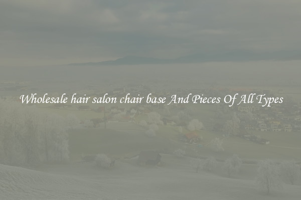 Wholesale hair salon chair base And Pieces Of All Types