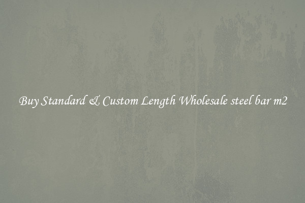 Buy Standard & Custom Length Wholesale steel bar m2