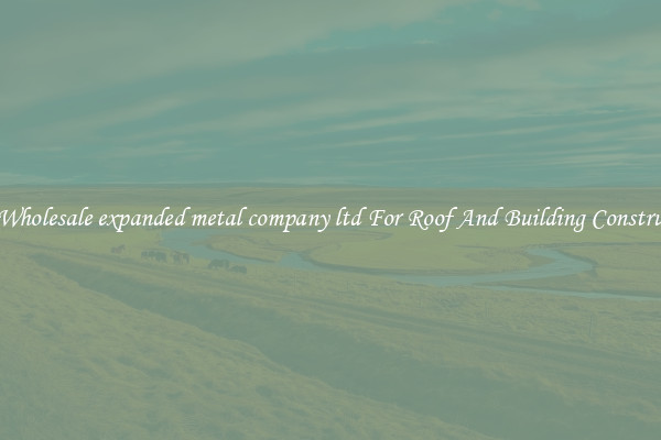 Buy Wholesale expanded metal company ltd For Roof And Building Construction