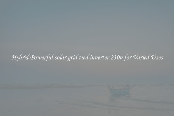 Hybrid Powerful solar grid tied inverter 230v for Varied Uses