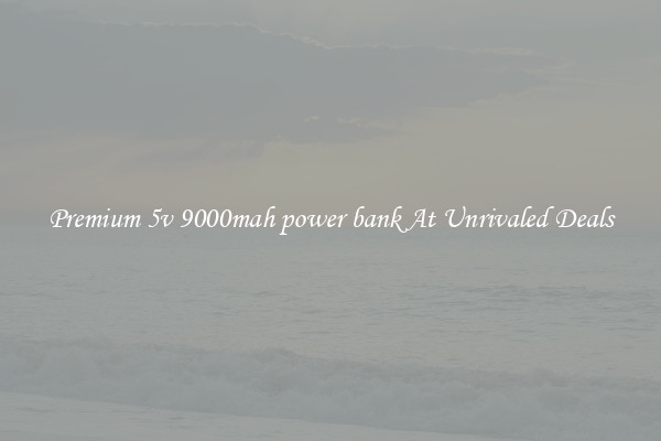 Premium 5v 9000mah power bank At Unrivaled Deals