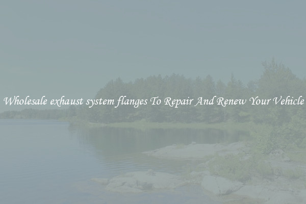 Wholesale exhaust system flanges To Repair And Renew Your Vehicle