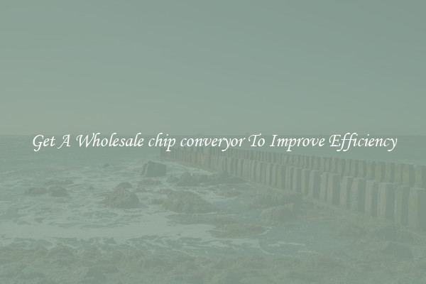 Get A Wholesale chip converyor To Improve Efficiency
