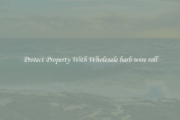 Protect Property With Wholesale barb wire roll