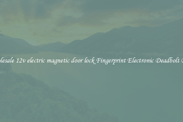 Wholesale 12v electric magnetic door lock Fingerprint Electronic Deadbolt Door 