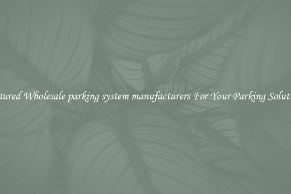 Featured Wholesale parking system manufacturers For Your Parking Solutions 