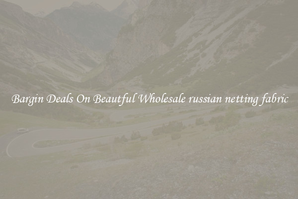 Bargin Deals On Beautful Wholesale russian netting fabric