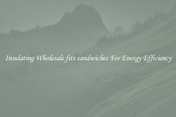 Insulating Wholesale fits sandwiches For Energy Efficiency