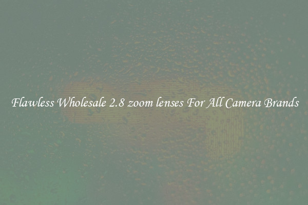 Flawless Wholesale 2.8 zoom lenses For All Camera Brands