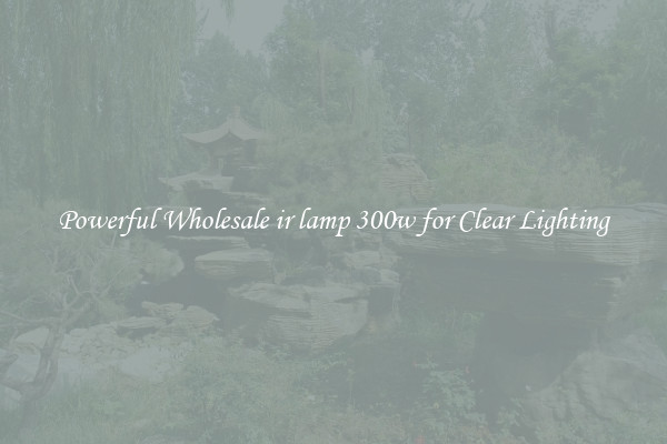 Powerful Wholesale ir lamp 300w for Clear Lighting