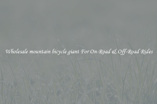 Wholesale mountain bicycle giant For On-Road & Off-Road Rides