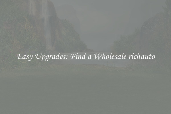 Easy Upgrades: Find a Wholesale richauto