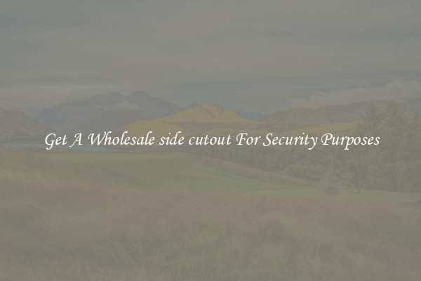 Get A Wholesale side cutout For Security Purposes