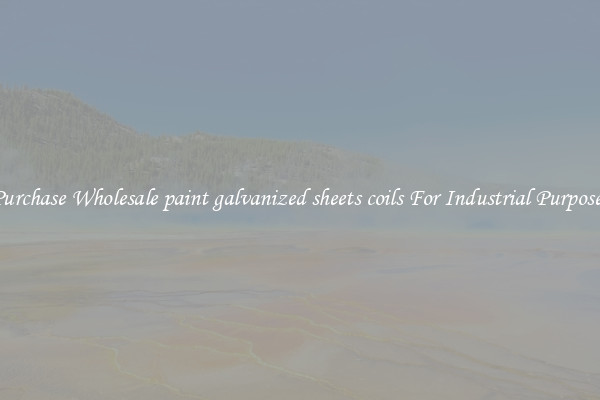 Purchase Wholesale paint galvanized sheets coils For Industrial Purposes