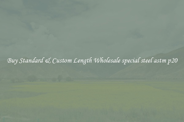 Buy Standard & Custom Length Wholesale special steel astm p20