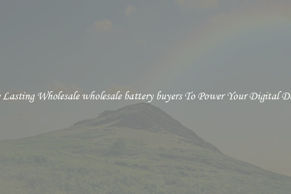 Long Lasting Wholesale wholesale battery buyers To Power Your Digital Devices