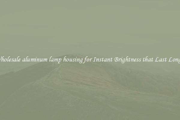 Wholesale aluminum lamp housing for Instant Brightness that Last Longer