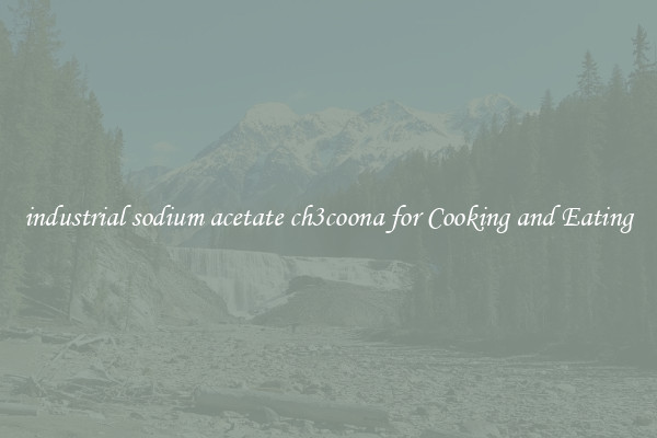 industrial sodium acetate ch3coona for Cooking and Eating