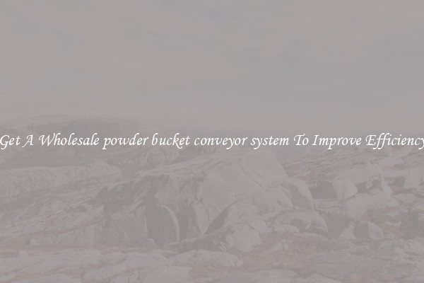 Get A Wholesale powder bucket conveyor system To Improve Efficiency