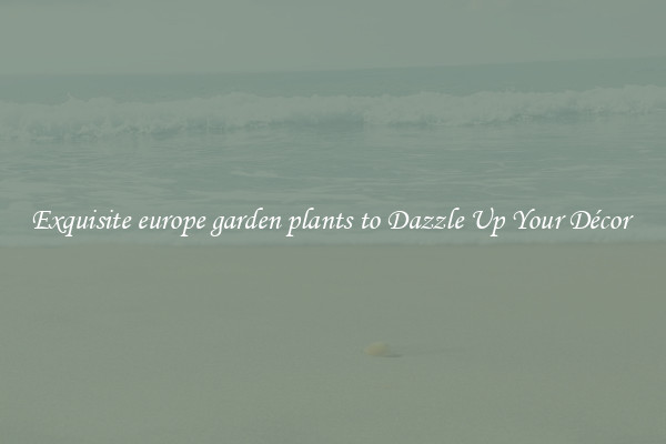 Exquisite europe garden plants to Dazzle Up Your Décor 