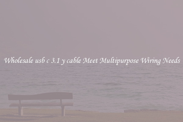 Wholesale usb c 3.1 y cable Meet Multipurpose Wiring Needs